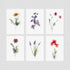 6 Floral Postcards - Impressions 3